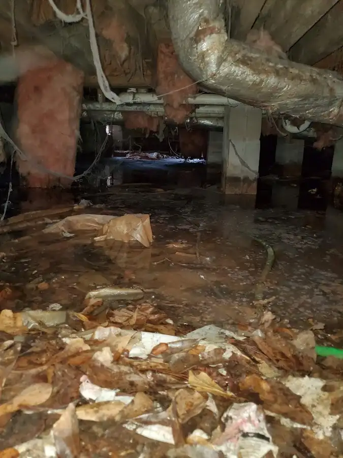 Crawl space flood assessment for Leak Detection & Repair in Waupaca